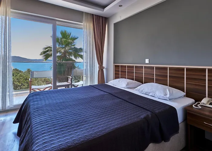 Aquarius 3* カシュ