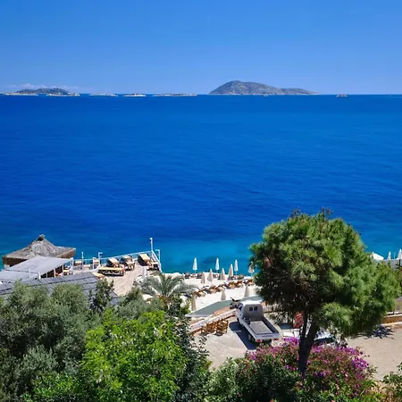 Aquarius מלון 3*