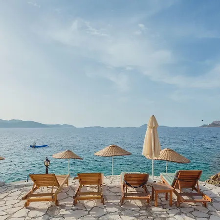 מלון Aquarius 3*